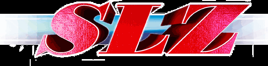 Счетоводна Къща SLZ Варна logo