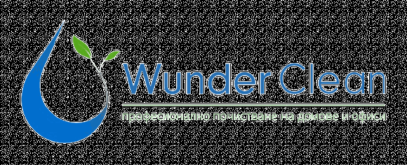 WunderClean logo