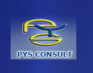 PYS CONSULT LTD logo