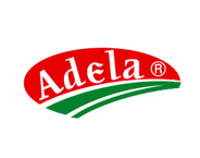 Adela Ltd. logo