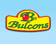 Bulcons Parvomay JSC logo