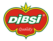 DIBSI - NB Ltd. logo