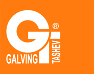 Tashev-Galving Ltd. logo