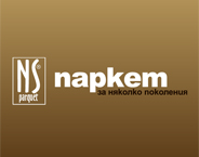 NS Parquet logo