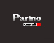 Parino Ltd. logo