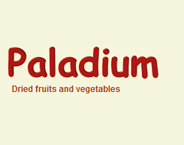 Paladium Ltd logo