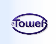 Panteley Toshev Ltd. logo