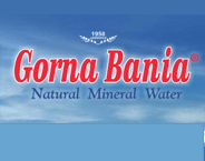 BULMINVEKS GB Ltd. logo