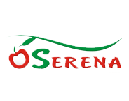SERENA Ltd. logo