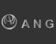 ANG logo