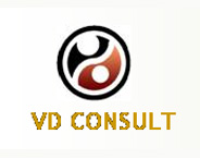 VD Conslt LLC. logo