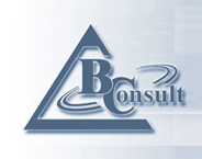 BALTOV CONSULT logo