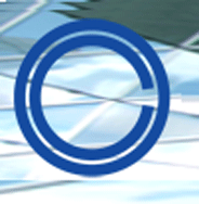 ORGSYSTEM Ltd. logo