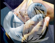 Petrov & Petrov Consult Ltd. logo