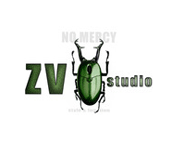 ZV Studio logo