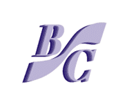 BULCARGO Ltd. logo