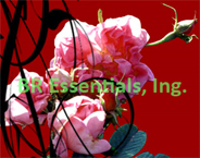 BRE logo