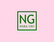 Nara Geo Ltd. logo