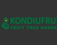 Kondiufruit logo
