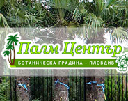 Palm Center of Bulgaria logo
