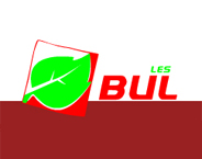 Bulles Group Ltd logo