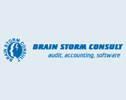 Brain Storm Consult logo