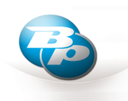 BULPOR Ltd logo