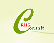 RHG Consult Ltd. logo