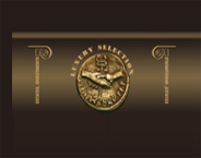 Selectstroi LTD. logo
