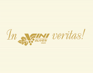 VINI - SLIVEN logo