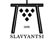 Vinex Slavyantsi logo