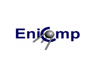 ENICOMP LTD. logo