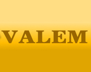VALEM Specialized Hospital for Plastic and Aesthetic Surgery - Varna logo