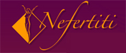 Nefertiti Plastic Surgery logo