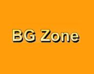 BGZone.com logo