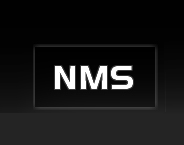 New Millenium Software LTD logo