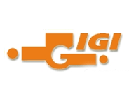 IGI LTD logo
