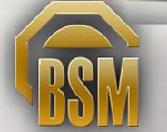 BSM logo
