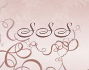 Web SSSites logo