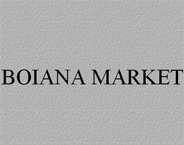 BOIANA MARKET Ltd. logo