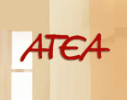 ATEA Ltd logo