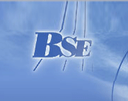 BALKAN Steel Engineering Ltd. logo