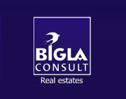 BIGLA CONSULT logo