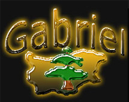 gabriel logo