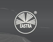 Eastra Holding Group logo