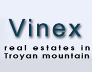 Vinex logo