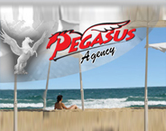 Pegasus Tour Ltd logo