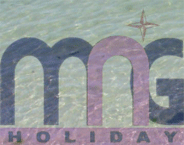 MNG Holiday Ltd. logo