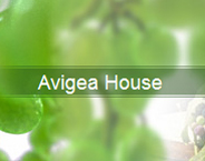 Avigea House logo