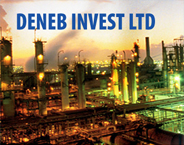 Deneb Invest Ltd. logo